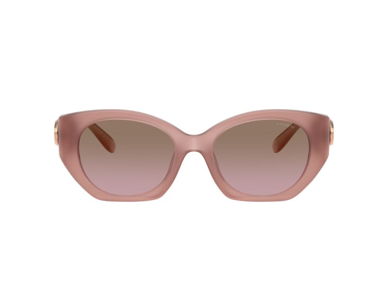 Coach Cw194 HC 8407U 583914 52 Women sunglasses