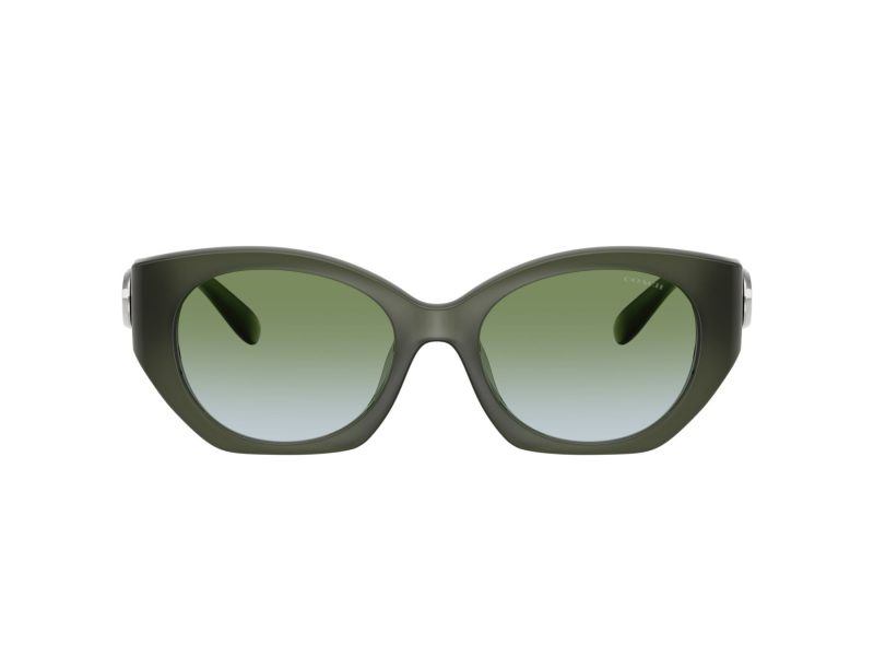 Coach Cw194 HC 8407U 584017 52 Women sunglasses