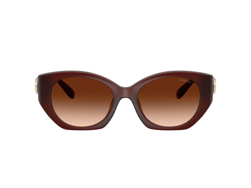 Coach Cw194 HC 8407U 584174 52 Women sunglasses