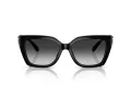 Coach Cw195 HC 8408U 50023C 55 Women sunglasses
