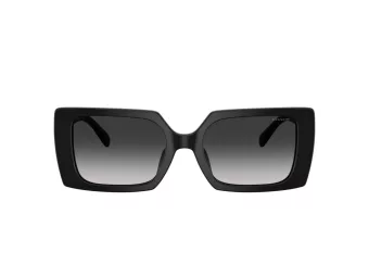 Coach Cw224 HC 8409U 50023C 53 Women sunglasses