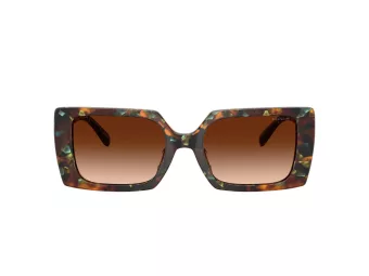 Coach Cw224 HC 8409U 584474 53 Women sunglasses