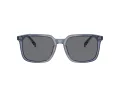 Coach Cw405 HC 8411U 582087 55 Men sunglasses