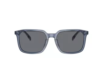 Coach Cw405 HC 8411U 582087 55 Men sunglasses