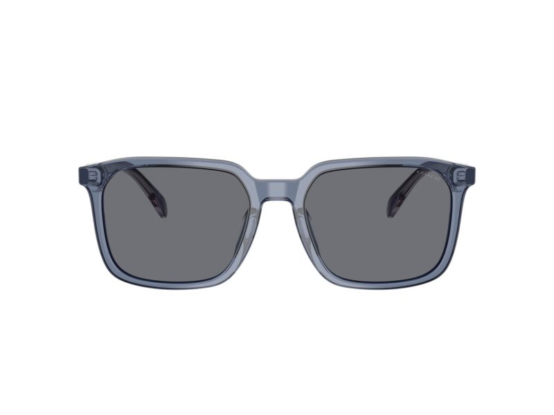Coach Cw405 HC 8411U 582087 55 Men sunglasses