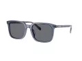 Coach Cw405 HC 8411U 582087 55 Men sunglasses