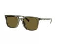 Coach Cw405 HC 8411U 5848S7 55 Men sunglasses