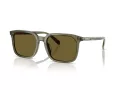 Coach Cw405 HC 8411U 5848S7 55 Men sunglasses