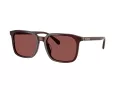 Coach Cw405 HC 8411U 585075 55 Men sunglasses
