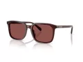 Coach Cw405 HC 8411U 585075 55 Men sunglasses