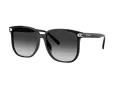 Coach Cw419 HC 8413BD 50023C 58 Women sunglasses