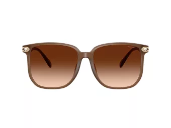 Coach Cw419 HC 8413BD 580874 58 Women sunglasses