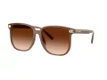 Coach Cw419 HC 8413BD 580874 58 Women sunglasses
