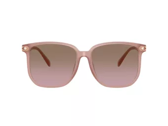 Coach Cw419 HC 8413BD 583914 58 Women sunglasses