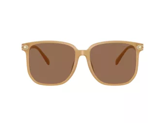 Coach Cw419 HC 8413BD 585473 58 Women sunglasses