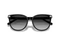 Coach Cw428 HC 8414BD 50023C 57 Women sunglasses
