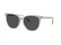 Coach Cw428 HC 8414BD 561487 57 Women sunglasses