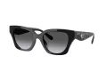 Coach Cad18 HC 8418U 5002T3 53 Women sunglasses