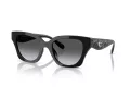 Coach Cad18 HC 8418U 5002T3 53 Women sunglasses