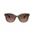 Coach Cad25 HC 8419U 5120T5 55 Women sunglasses