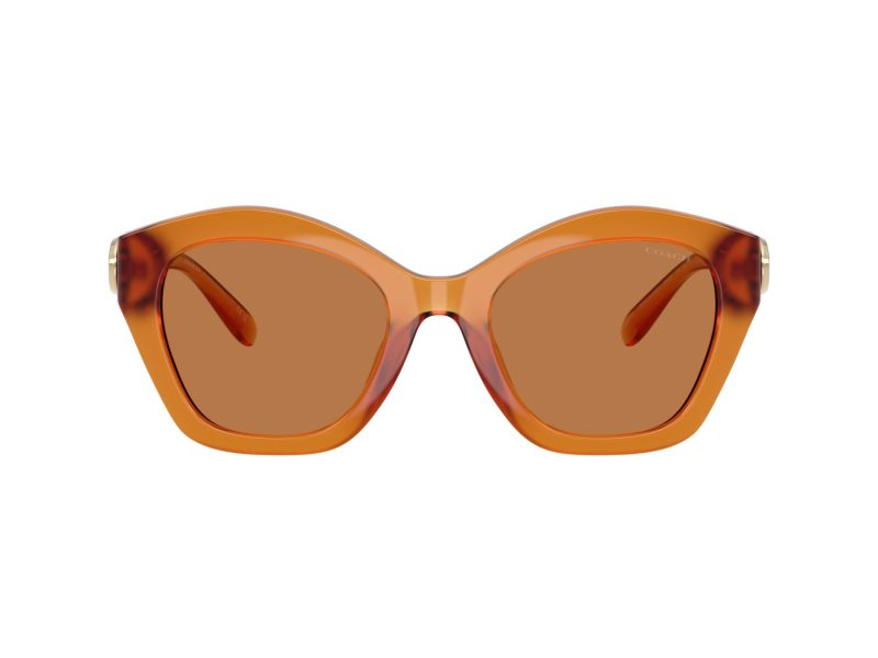 Coach Cad31 HC 8421U 564773 54 Women sunglasses