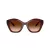 Coach Cad31 HC 8421U 584174 54 Women sunglasses