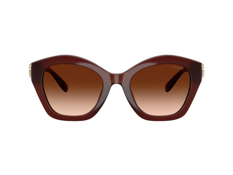 Coach Cad31 HC 8421U 584174 54 Women sunglasses