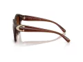 Coach Cad31 HC 8421U 584174 54 Women sunglasses