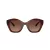 Coach Cad31 HC 8421U 5841T5 54 Women sunglasses