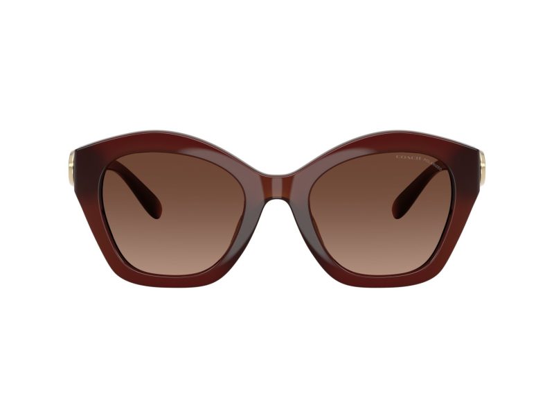 Coach Cad31 HC 8421U 5841T5 54 Women sunglasses