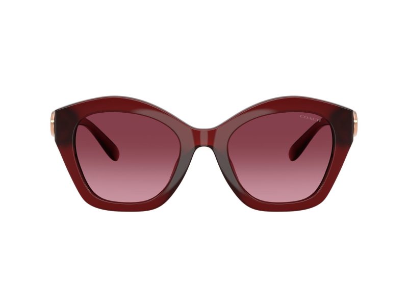 Coach Cad31 HC 8421U 58708H 54 Women sunglasses