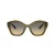 Coach Cad31 HC 8421U 5872L0 54 Women sunglasses