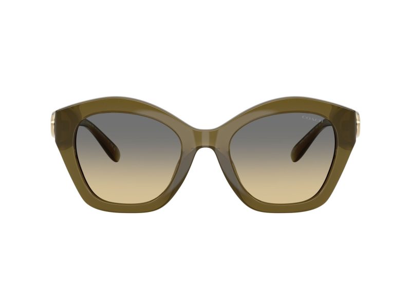 Coach Cad31 HC 8421U 5872L0 54 Women sunglasses