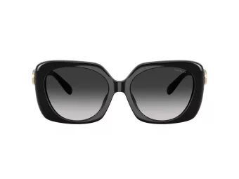 Coach Cad33 HC 8422U 50023C 55 Women sunglasses