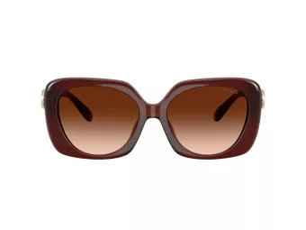Coach Cad33 HC 8422U 584174 55 Women sunglasses
