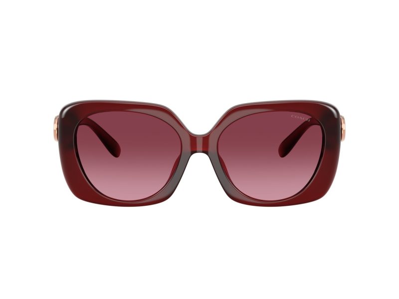 Coach Cad33 HC 8422U 58708H 55 Women sunglasses