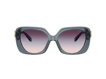Coach Cad33 HC 8422U 5871U7 55 Women sunglasses
