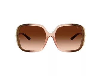 Coach Cad80 HC 8423U 576974 56 Women sunglasses
