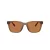 Coach Cad81 HC 8426U 587673 54 Men sunglasses