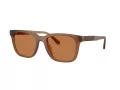 Coach Cad81 HC 8426U 587673 54 Men sunglasses