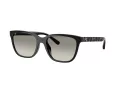 Coach Cae86 HC 8429D 50023C 56 Women sunglasses