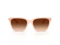 Coach Cae86 HC 8429D 511374 56 Women sunglasses