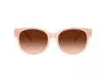 Coach Cae87 HC 8430D 511374 56 Women sunglasses