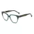 Carolina Herrera HER 0223 ACK 52 Women glasses