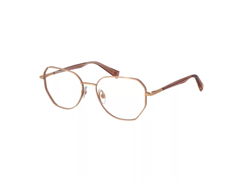 Ana Hickmann HI 1254 05A 52 Women glasses