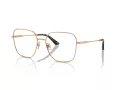 Jimmy Choo JC 2001B 3008 55 Women glasses
