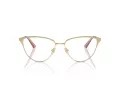 Jimmy Choo JC 2002 3013 55 Women glasses