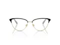 Jimmy Choo JC 2002 3015 53 Women glasses