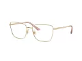 Jimmy Choo JC 2003 3013 55 Women glasses