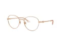Jimmy Choo JC 2004HB 3008 50 Women glasses